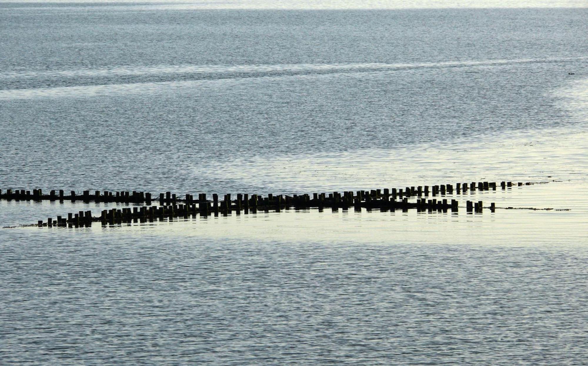 Haus Halligblick, Ferienwohnungen Am Wattenmeer, Whg Langenness Dagebüll Екстериор снимка