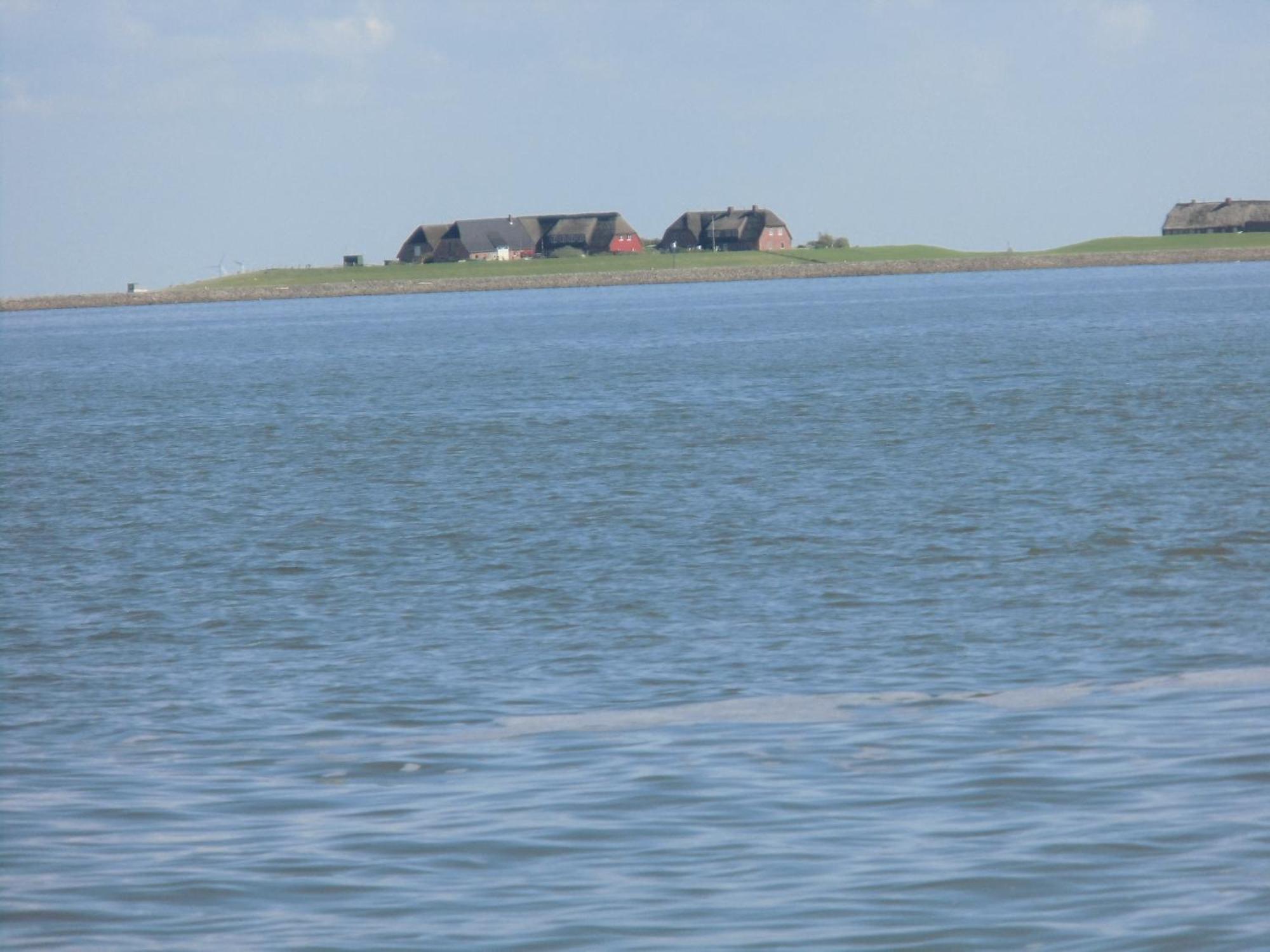 Haus Halligblick, Ferienwohnungen Am Wattenmeer, Whg Langenness Dagebüll Екстериор снимка